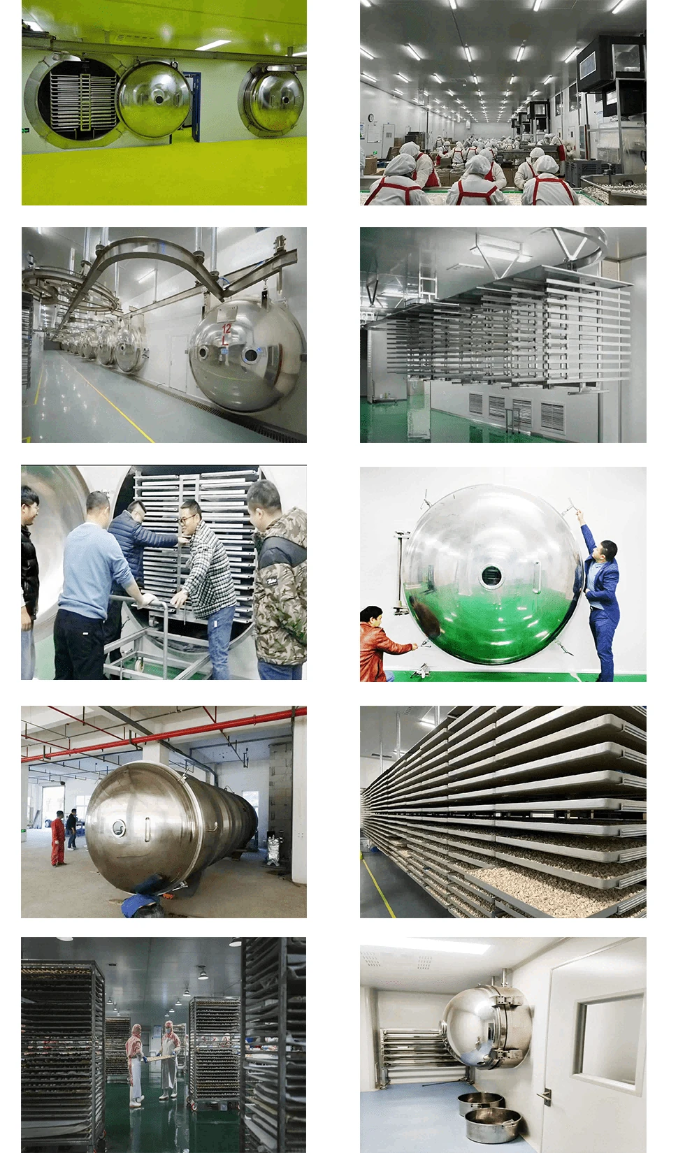 Freeze drying project cases