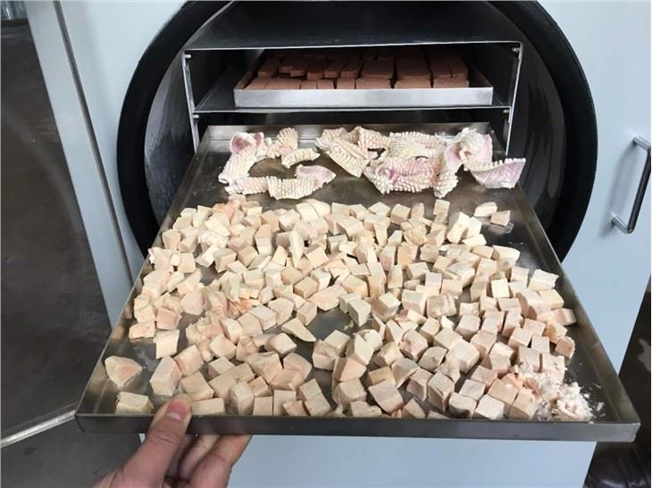 Vacuum Food Freeze Dryer wholesale