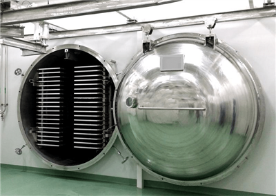 مجفف تجميد التوت